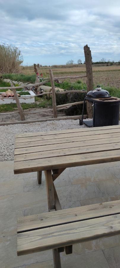 Appartement Au Coeur Des Rizieres Salin-de-Giraud Eksteriør bilde